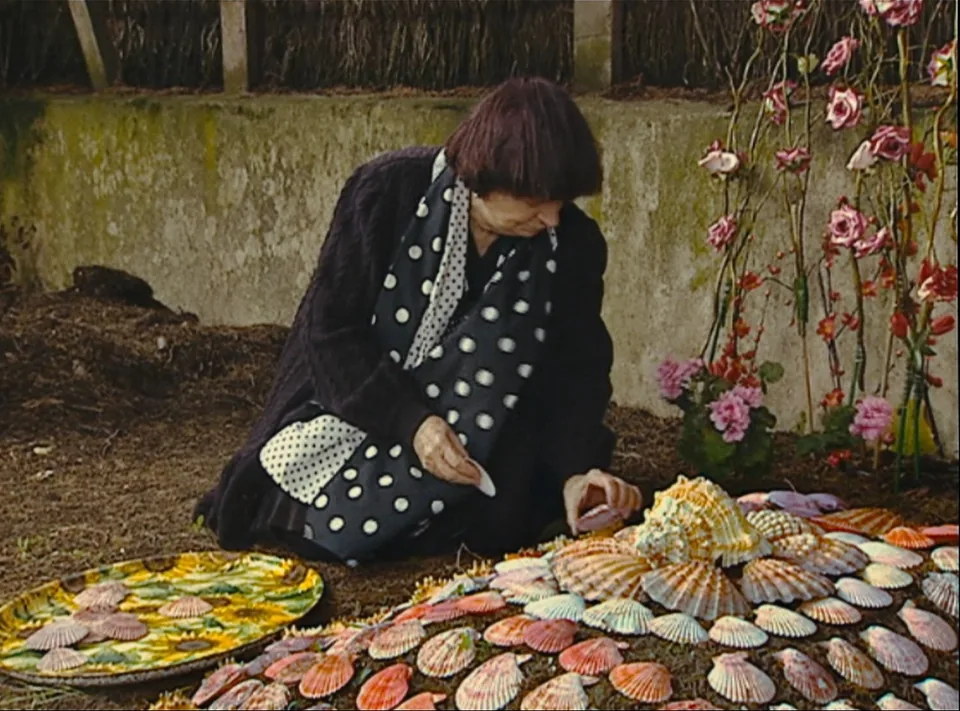 阿涅斯的海滩(2008)