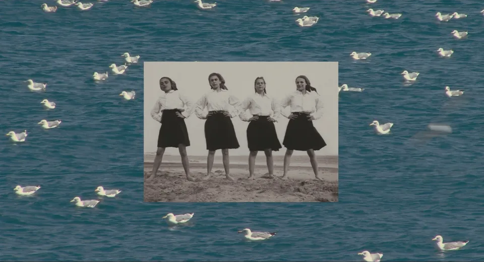阿涅斯的海滩(2008)
