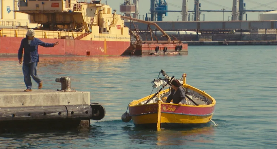 阿涅斯的海滩(2008)