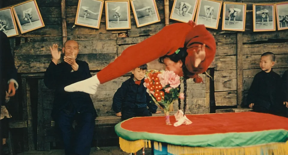 阿涅斯的海滩(2008)