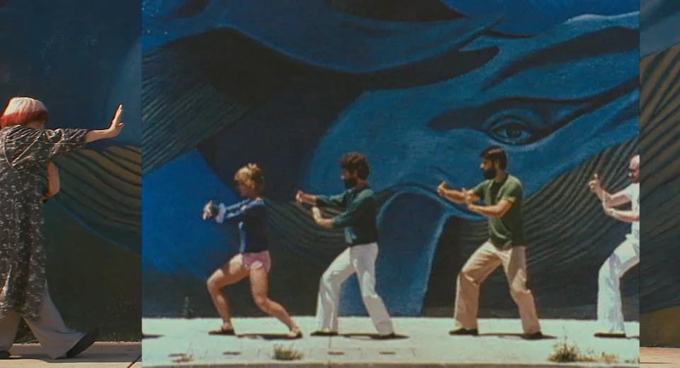 阿涅斯的海滩(2008)