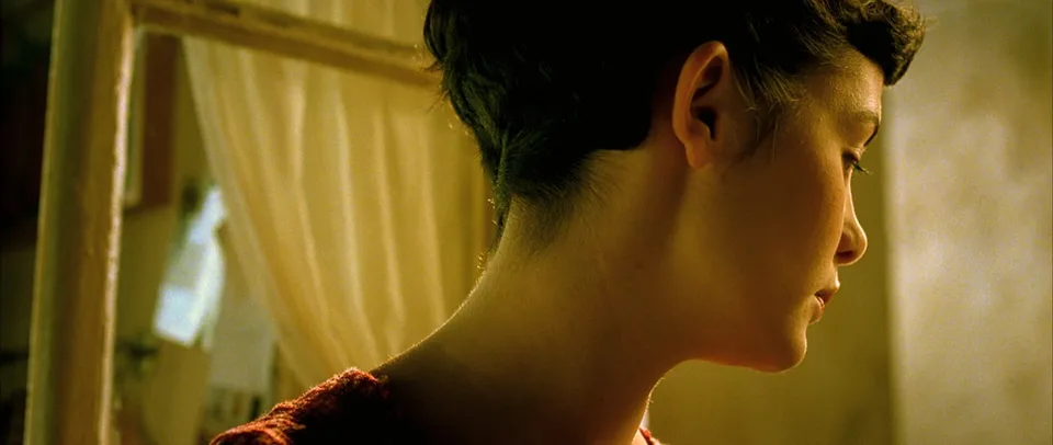 天使爱美丽(2001)