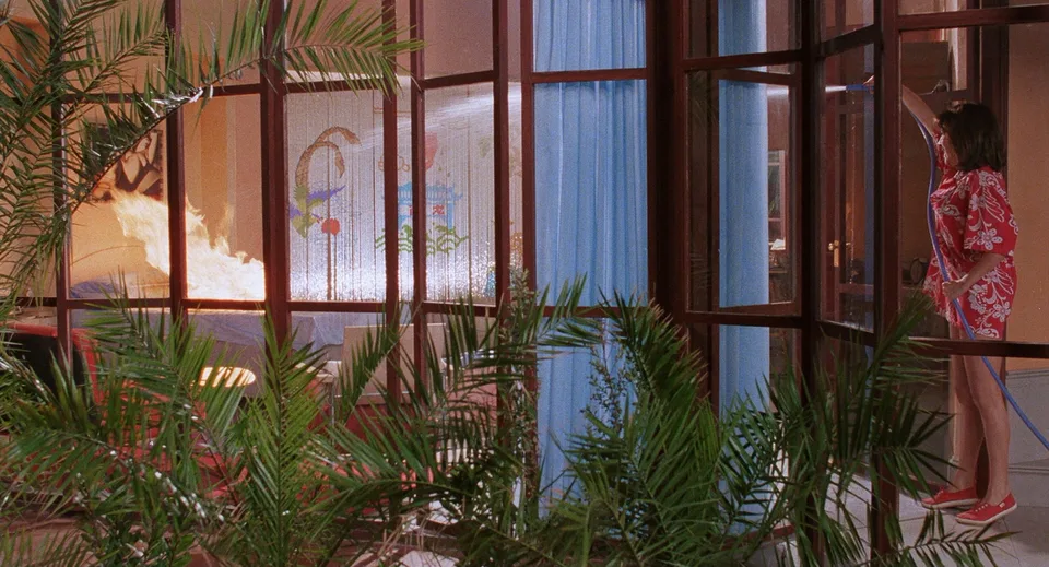 崩溃边缘的女人(1988)
