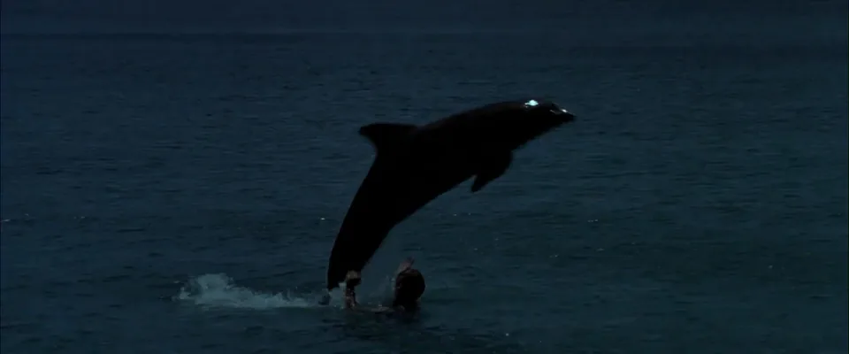 碧海蓝天(1988)
