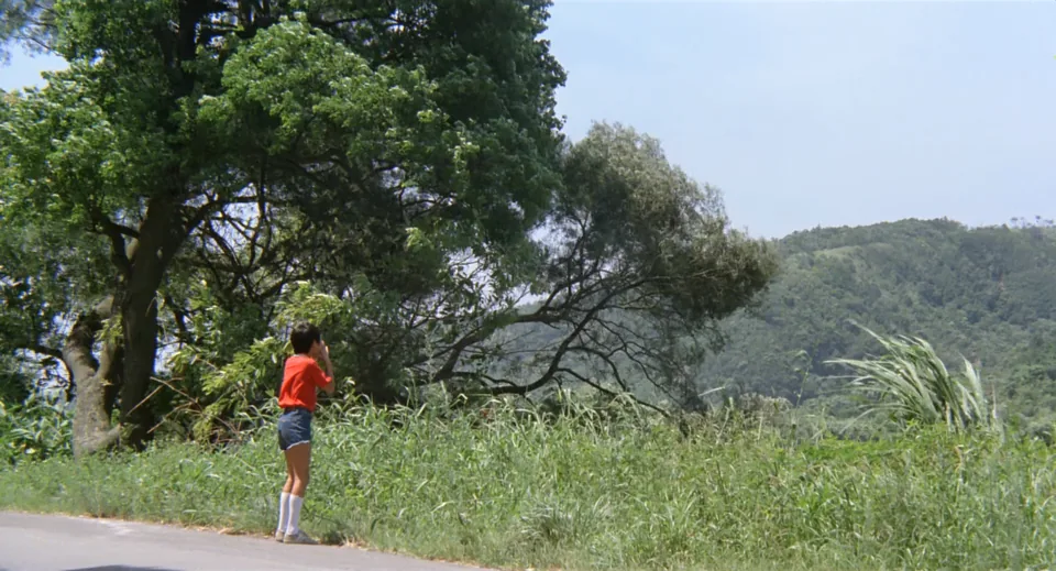 冬冬的假期(1984)