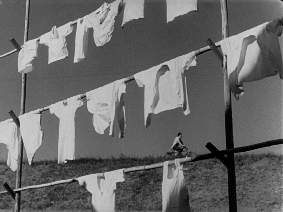 东京物语(1953)