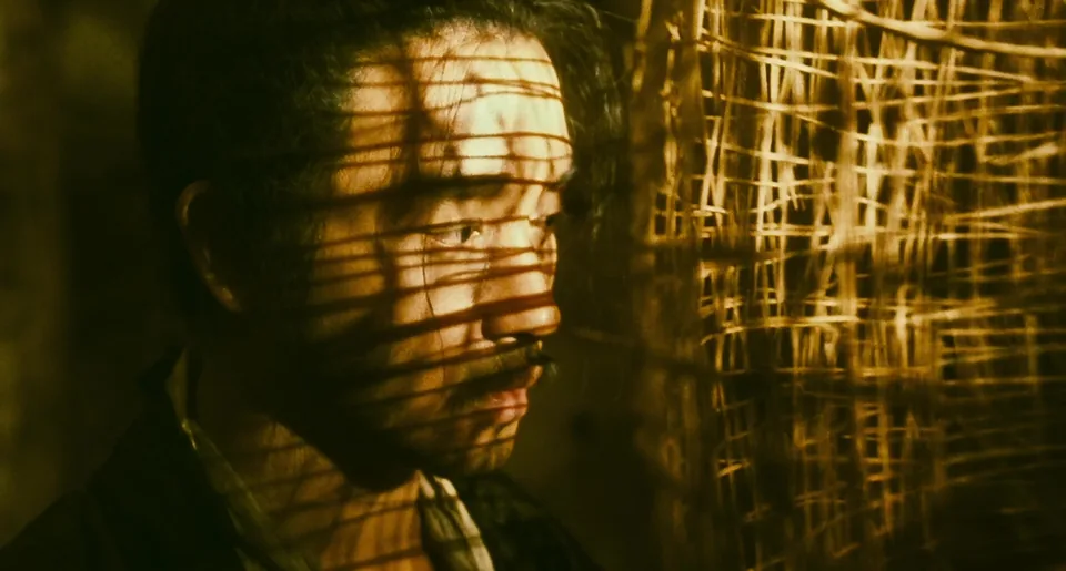 东邪西毒(1994)