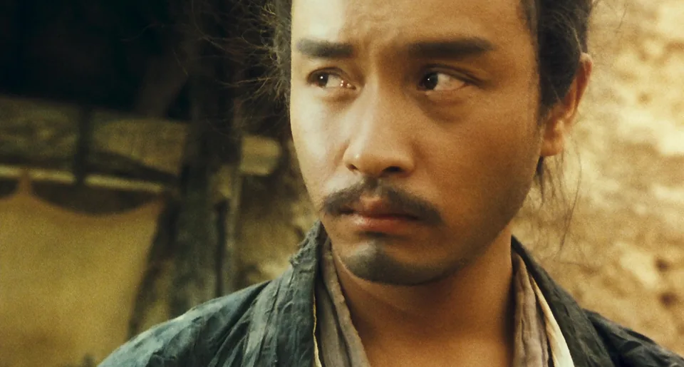 东邪西毒(1994)