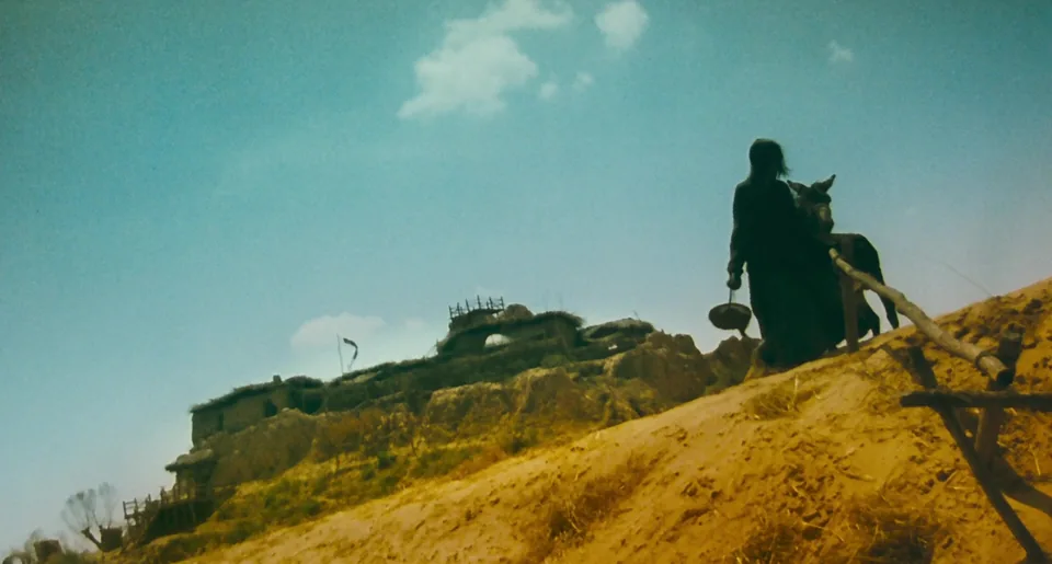 东邪西毒(1994)