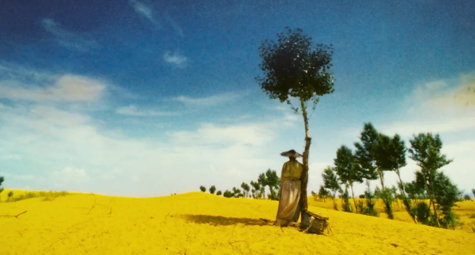 东邪西毒(1994)