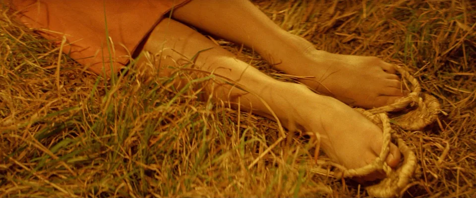 怪谈(1964)