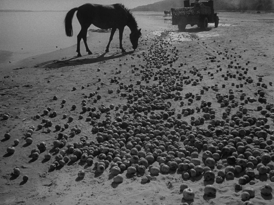 伊万的童年(1962)