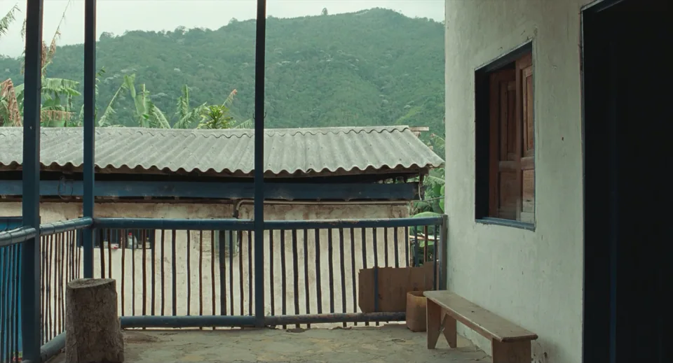 记忆(2021)