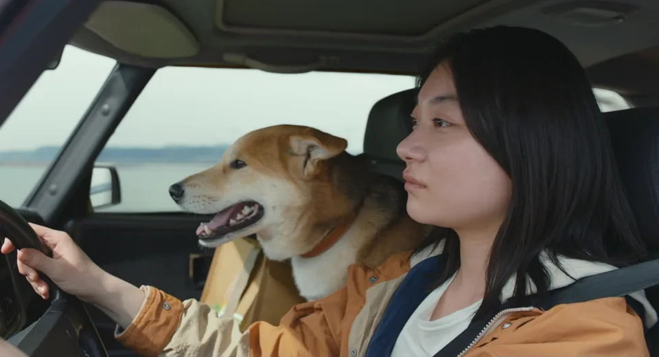 驾驶我的车(2021)