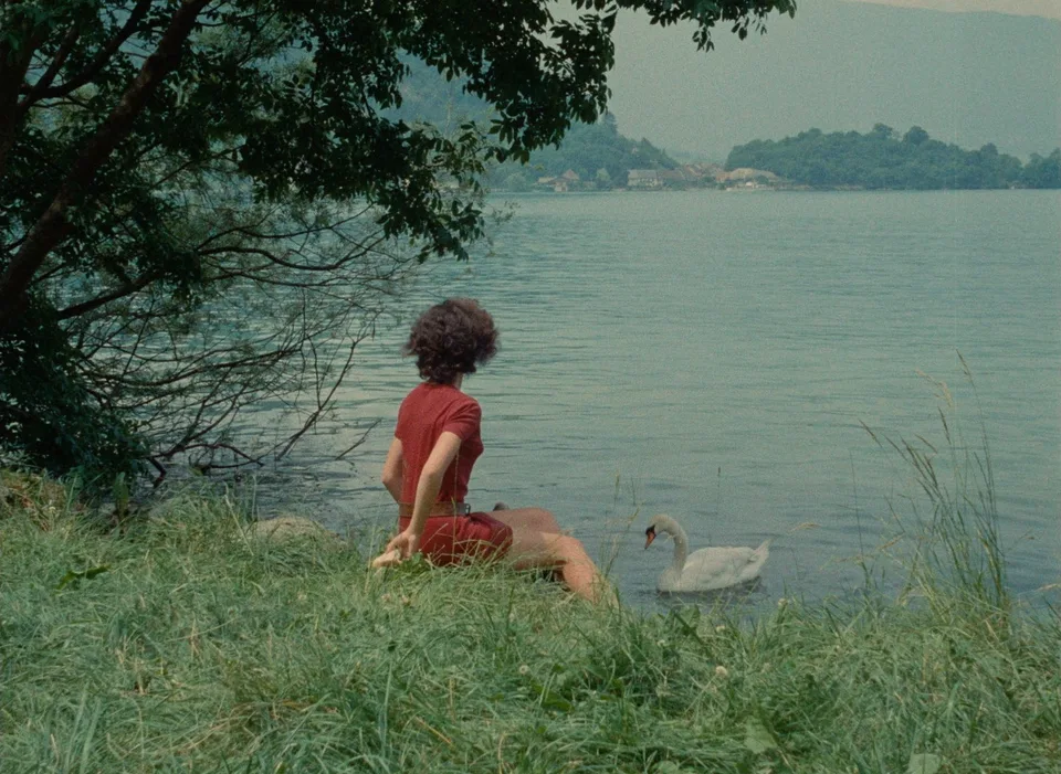 克莱尔的膝盖(1970)