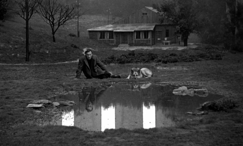 乡愁(1983)