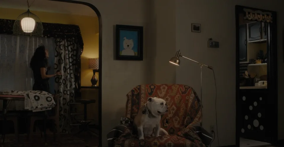 帕特森(2016)