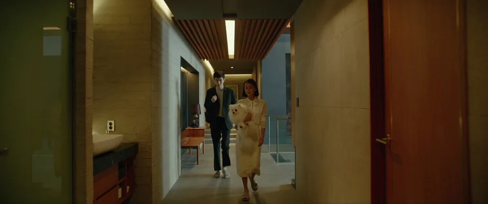 寄生虫(2019)