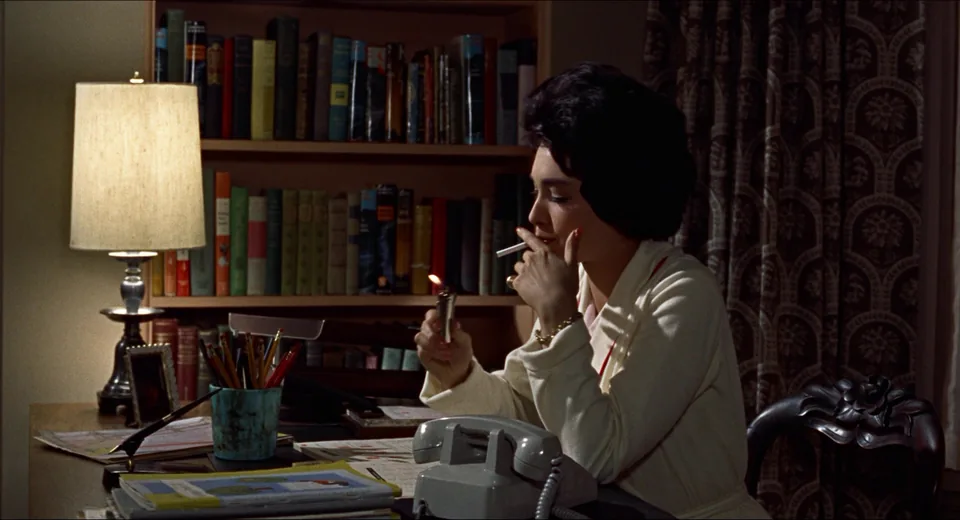 群鸟(1963)