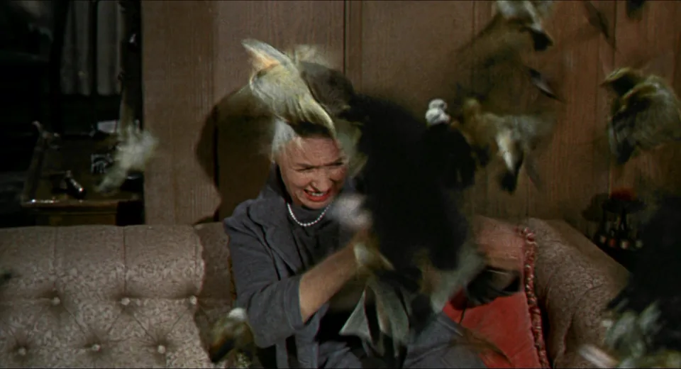 群鸟(1963)