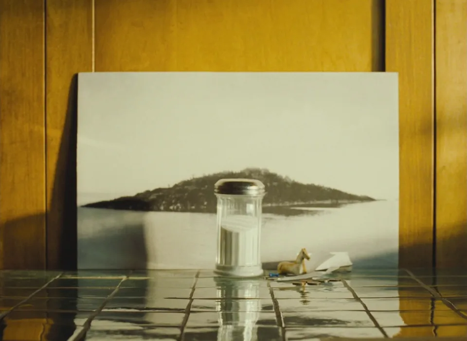 双面劳伦斯(2012)