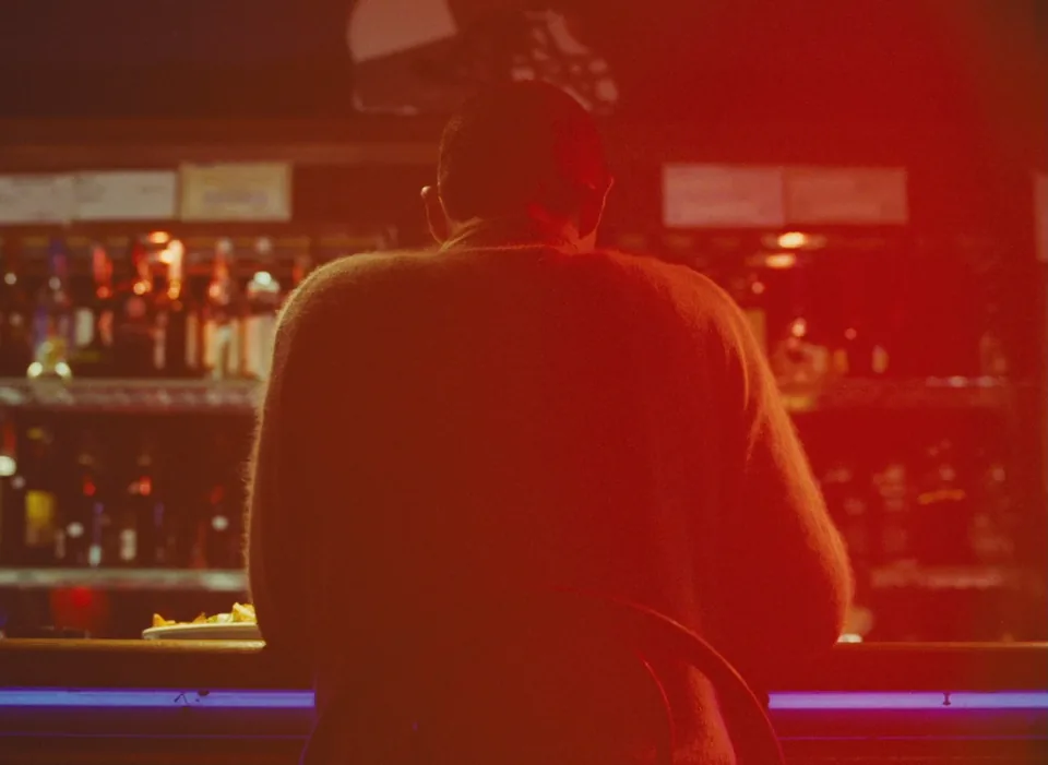 双面劳伦斯(2012)