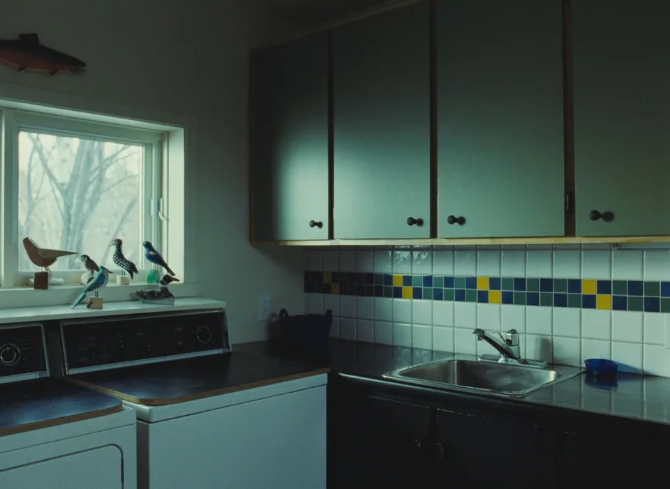 双面劳伦斯(2012)