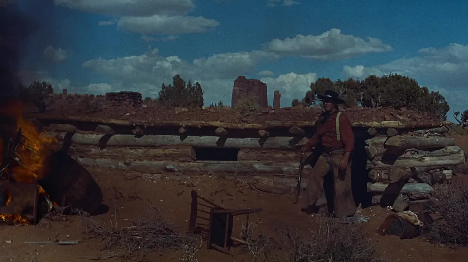 搜索者(1956)
