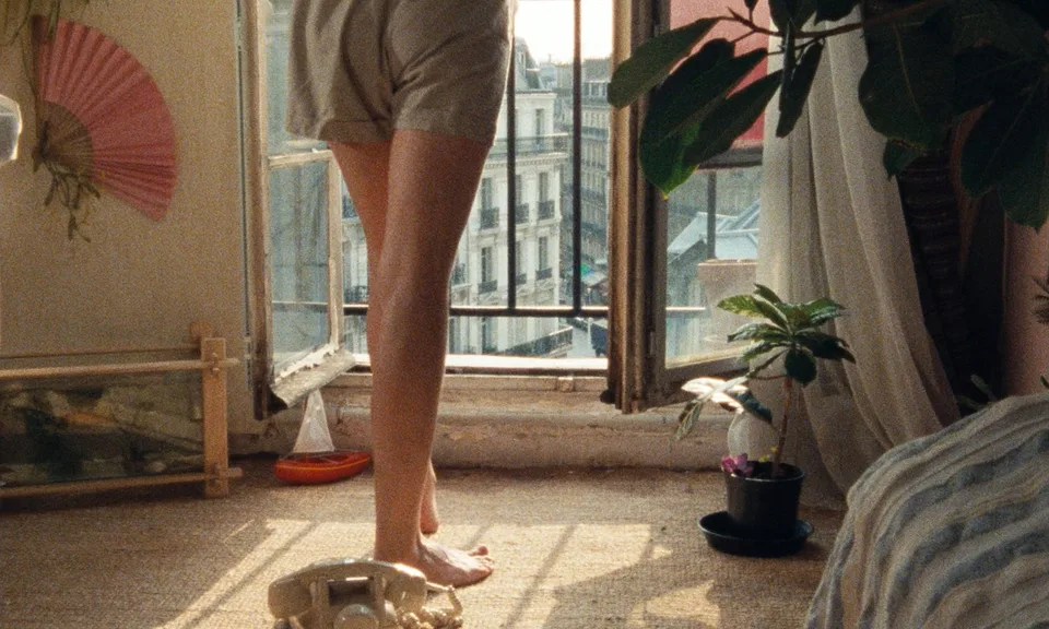 绿光(1986)
