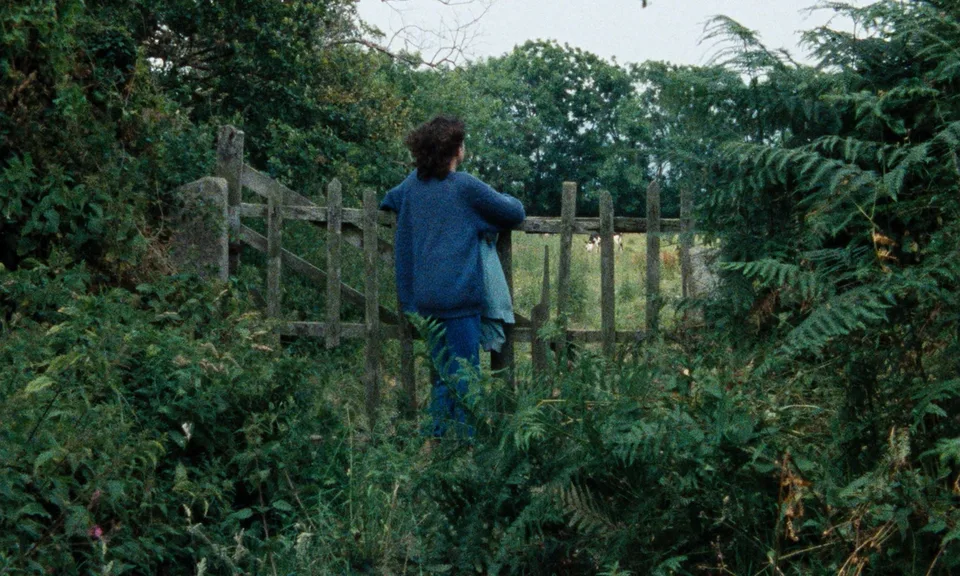 绿光(1986)