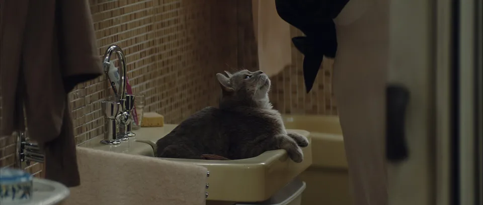 刺猬的优雅(2009)