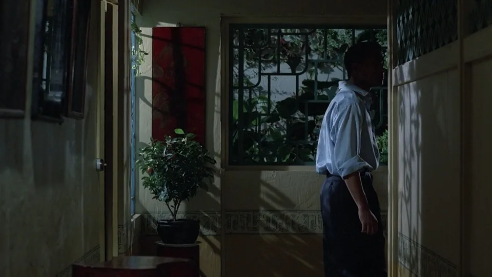 青木瓜之味(1993)