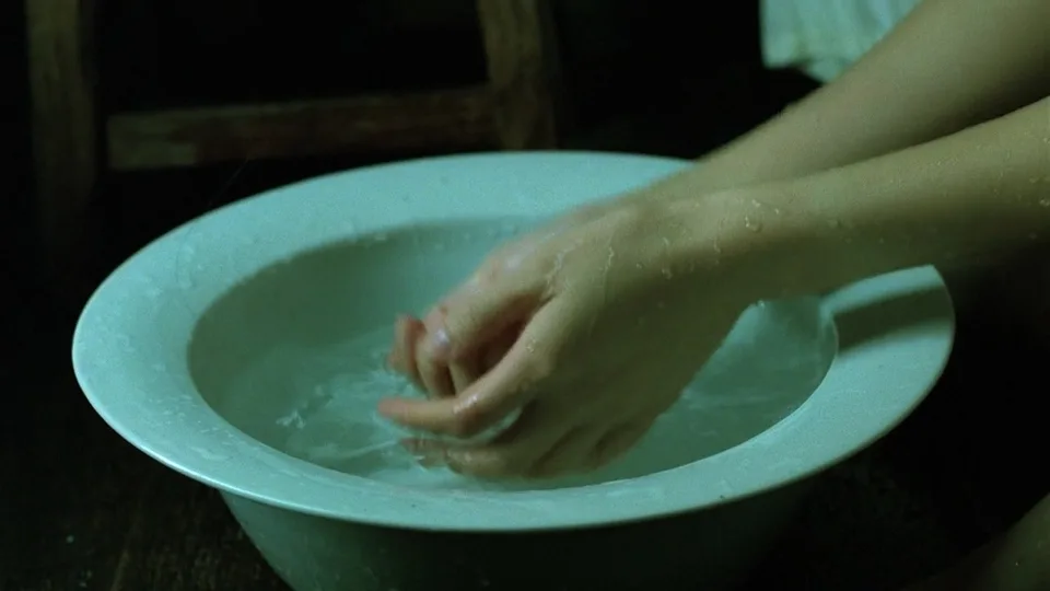 青木瓜之味(1993)