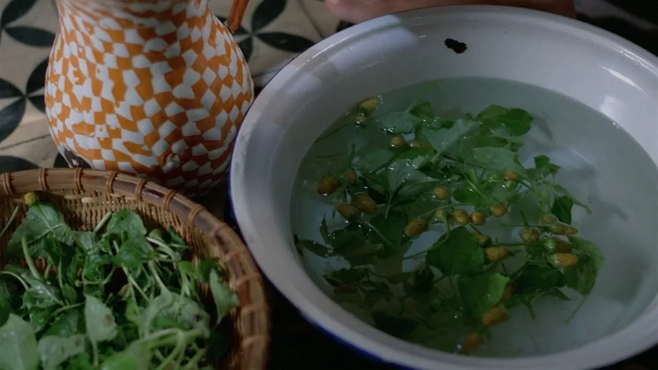 青木瓜之味(1993)