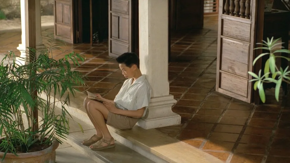 青木瓜之味(1993)