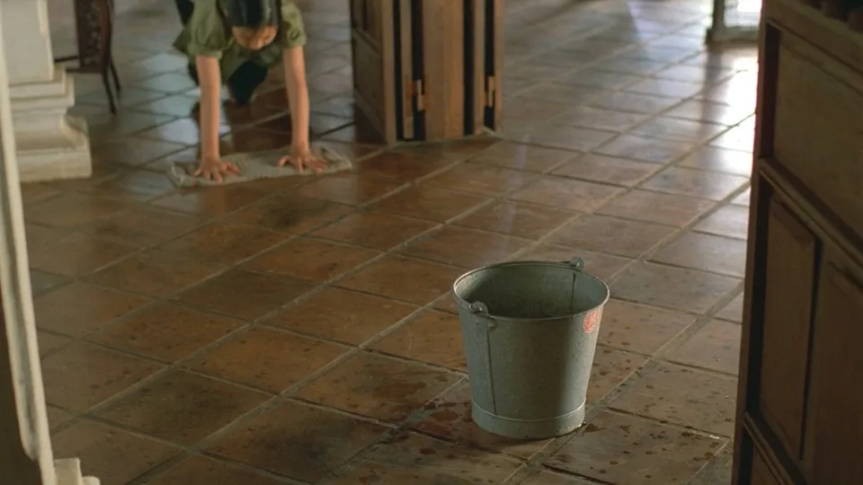 青木瓜之味(1993)