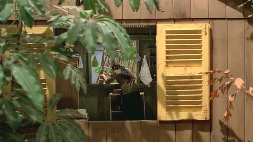 青木瓜之味(1993)