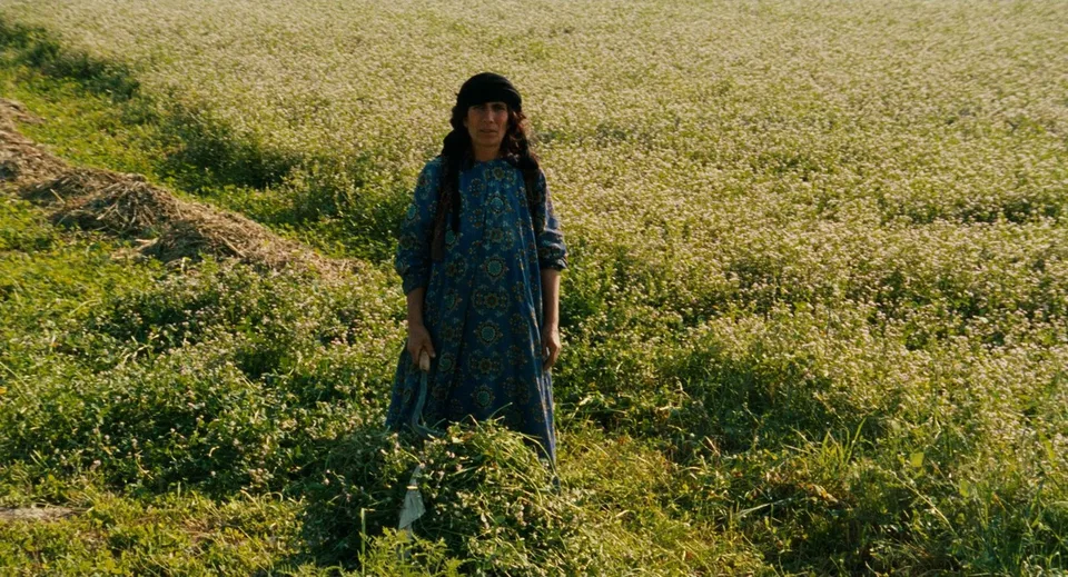 随风而逝(1999)