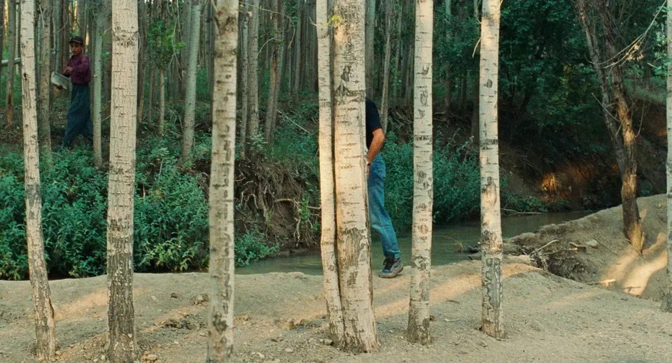 随风而逝(1999)