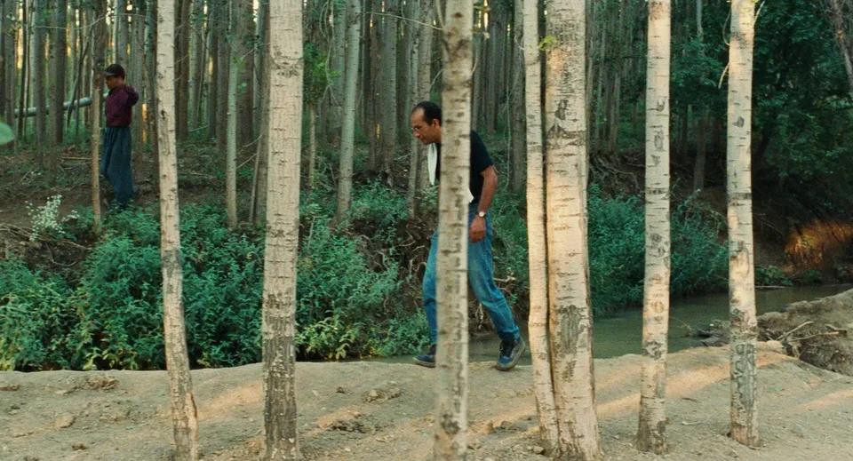 随风而逝(1999)