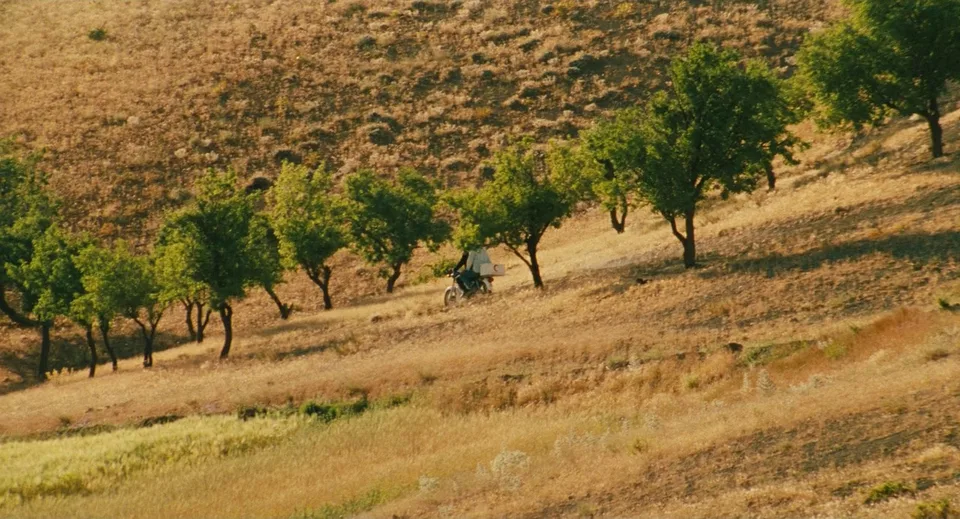 随风而逝(1999)