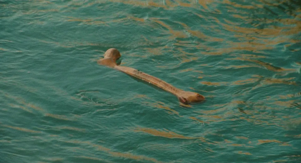随风而逝(1999)