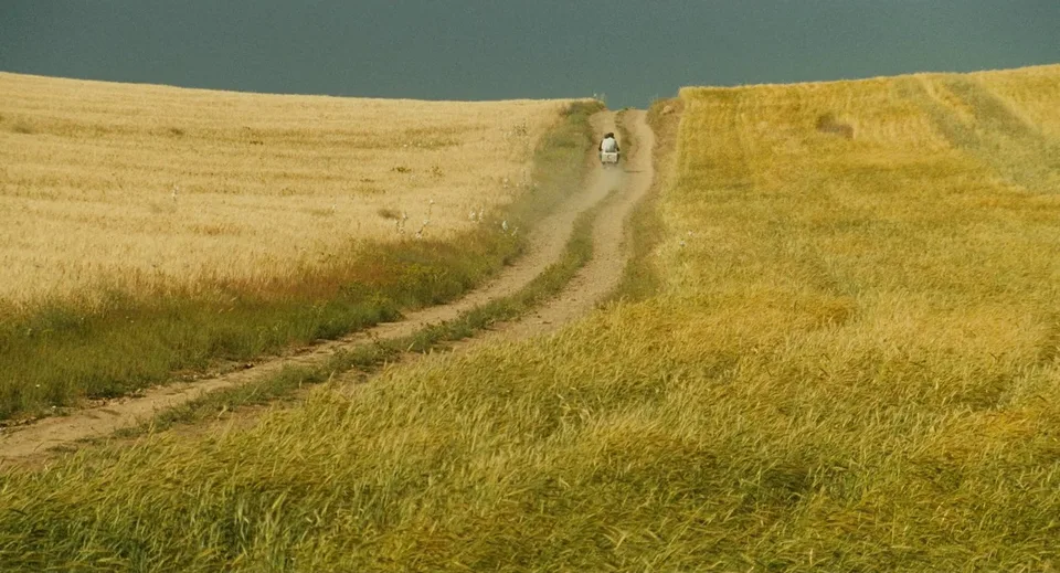 随风而逝(1999)