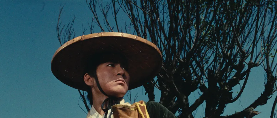 侠女(1970)