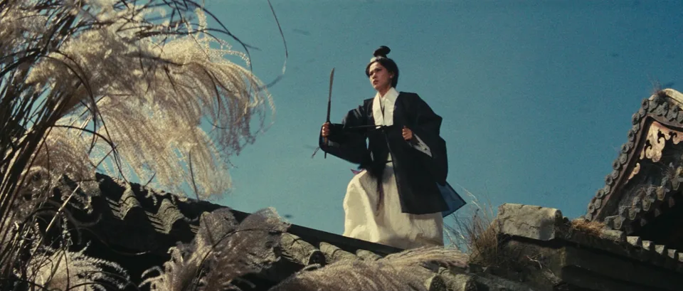 侠女(1970)