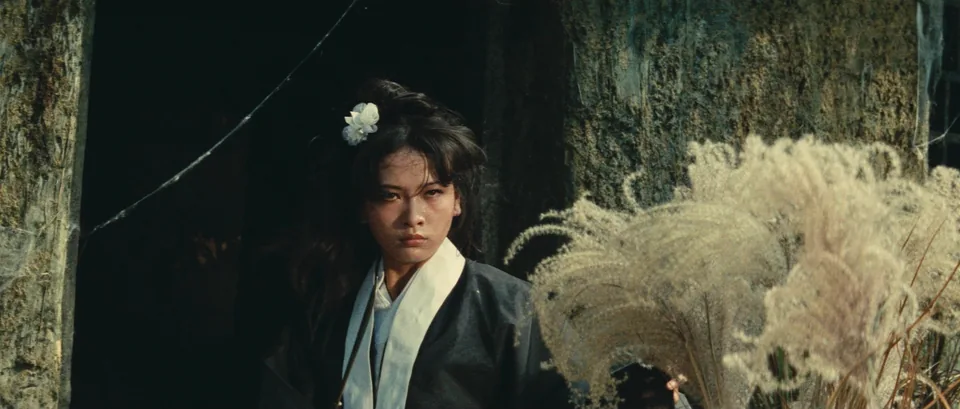 侠女(1970)